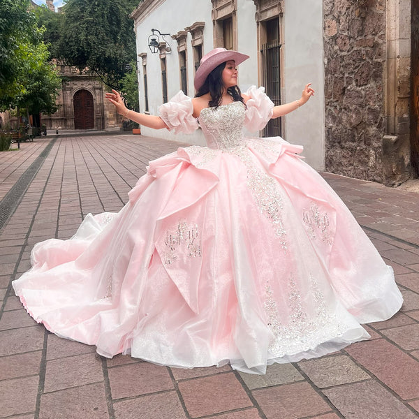 EV56 656 ROSA